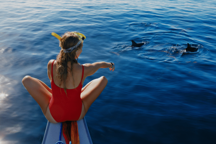 Dolphin Watching Tour