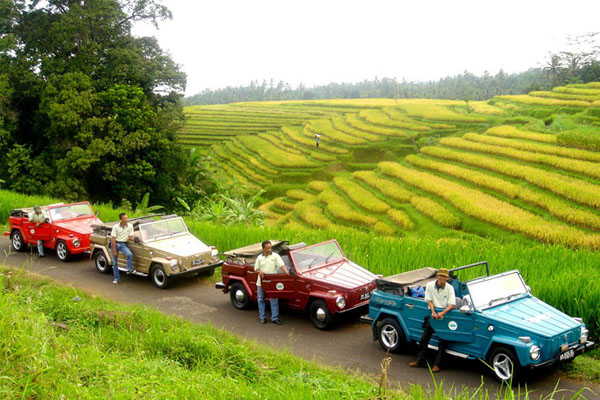 Jatiluwih VW Safari Tour